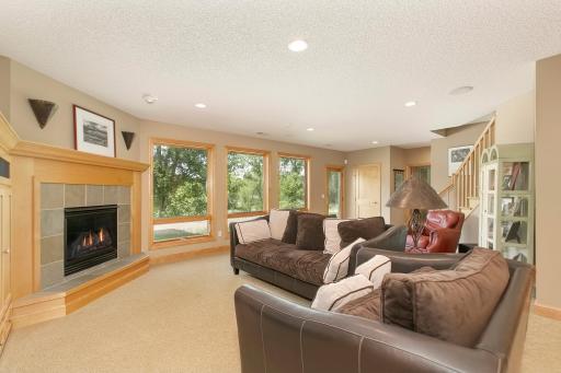Lower level walkout; Family Room with gas fireplace; full wall built-ins; hydronic in-floor heat