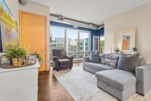 240 Spring Street, 407, Saint Paul, MN 55102