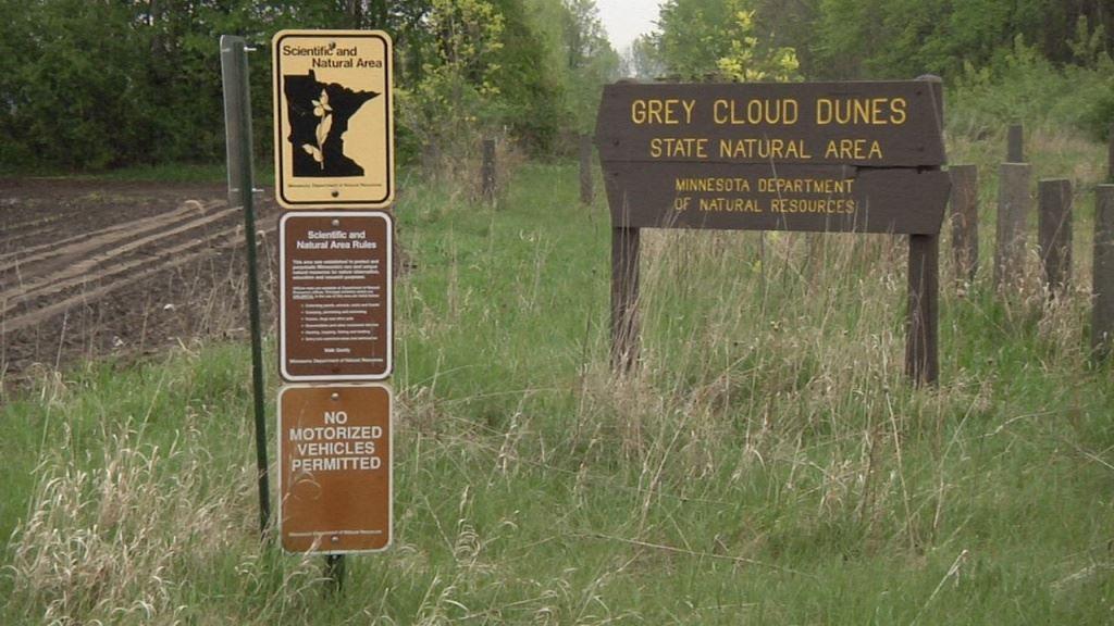 Discover 12 acres of scenic hiking trails and breathtaking views of the Mississippi River at Grey Cloud Dunes.