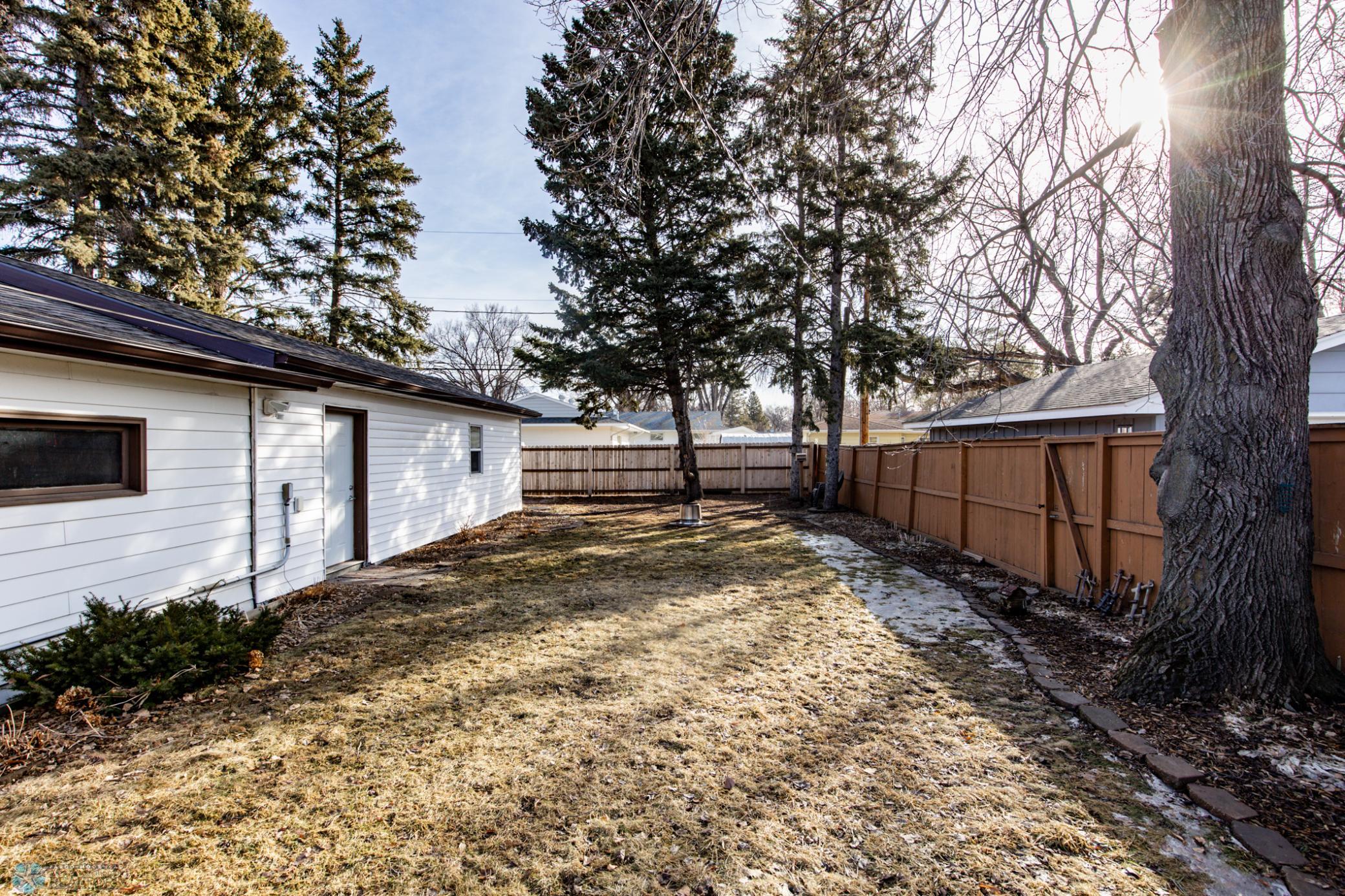 Backyard