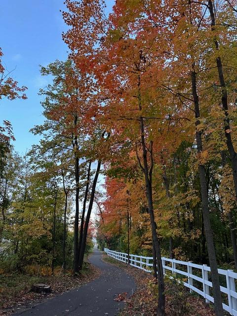 Enjoy the neighborhood paths