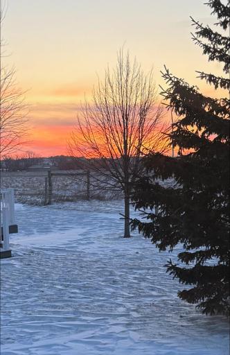16 Line Drive, Morris, MN 56267