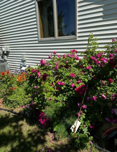 16 Line Drive, Morris, MN 56267