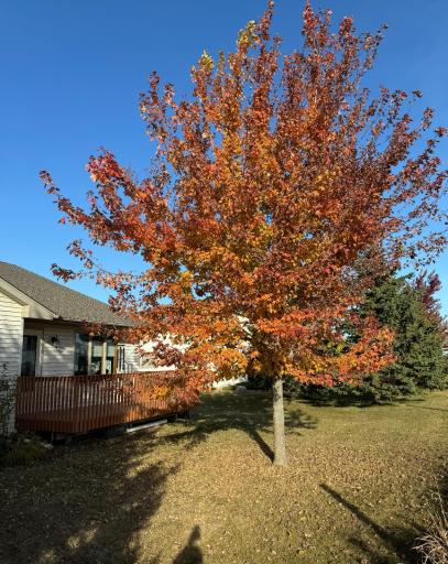 16 Line Drive, Morris, MN 56267