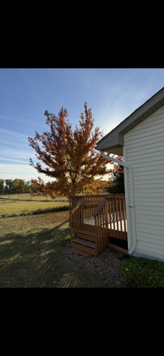 16 Line Drive, Morris, MN 56267