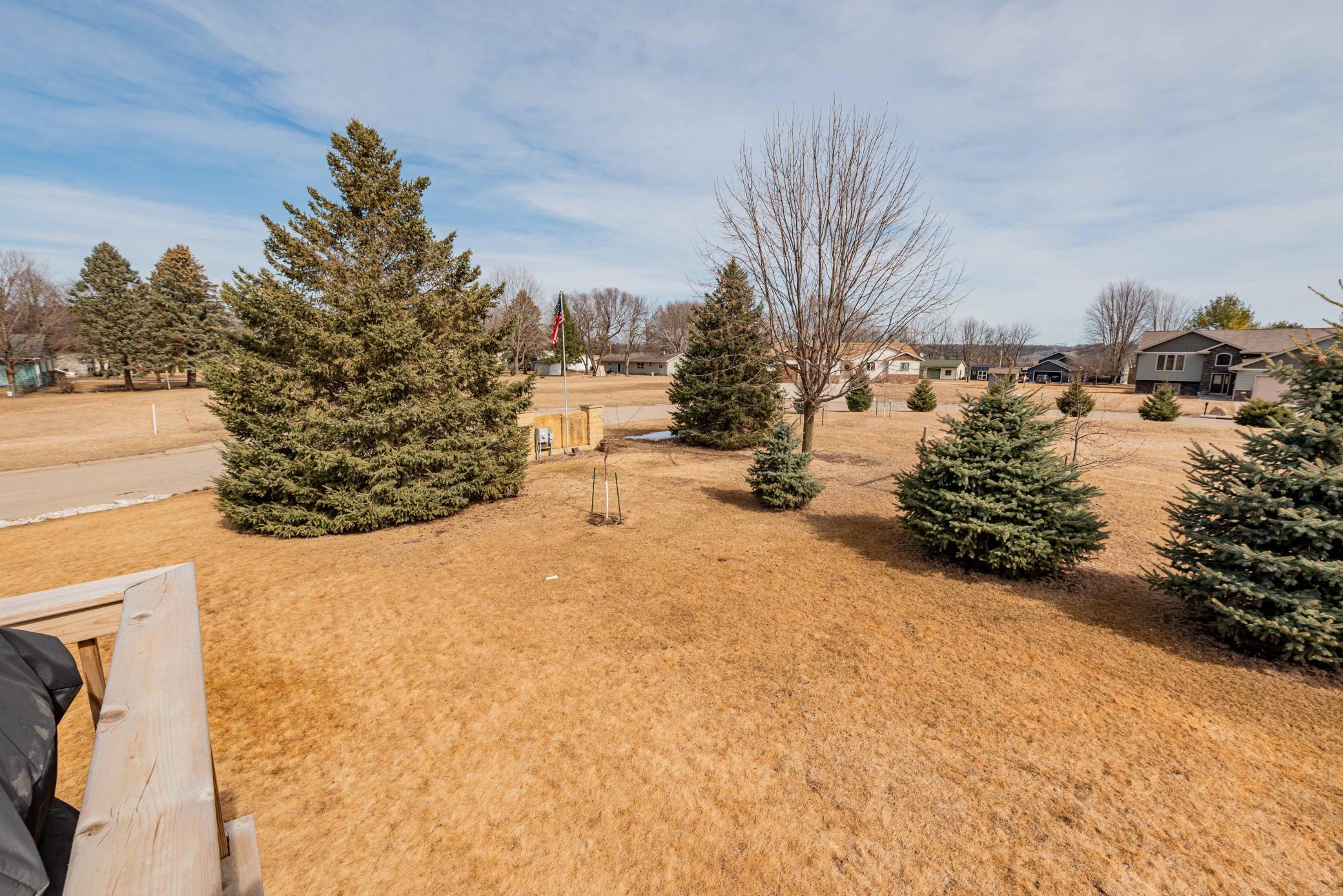Wow! Mature trees planted by seller and look how fast they've grown! There's even an apple tree and neighbor have some too! Bees will love the blooms soon.