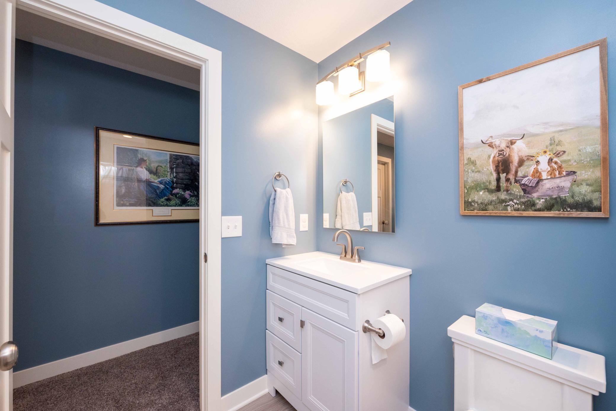 Lower Level full bathroom. So convenient for guests or family and colors add so much interest!
