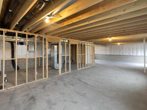 Unfinished Walkout Lower Level. Photo is taken of another home with similar plan and finishes.