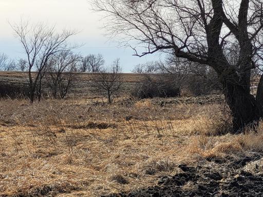 xxxx County Road 7 NW, Maple Lake, MN 55358