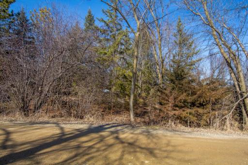 XXXX 125th Street W, Faribault, MN 55021