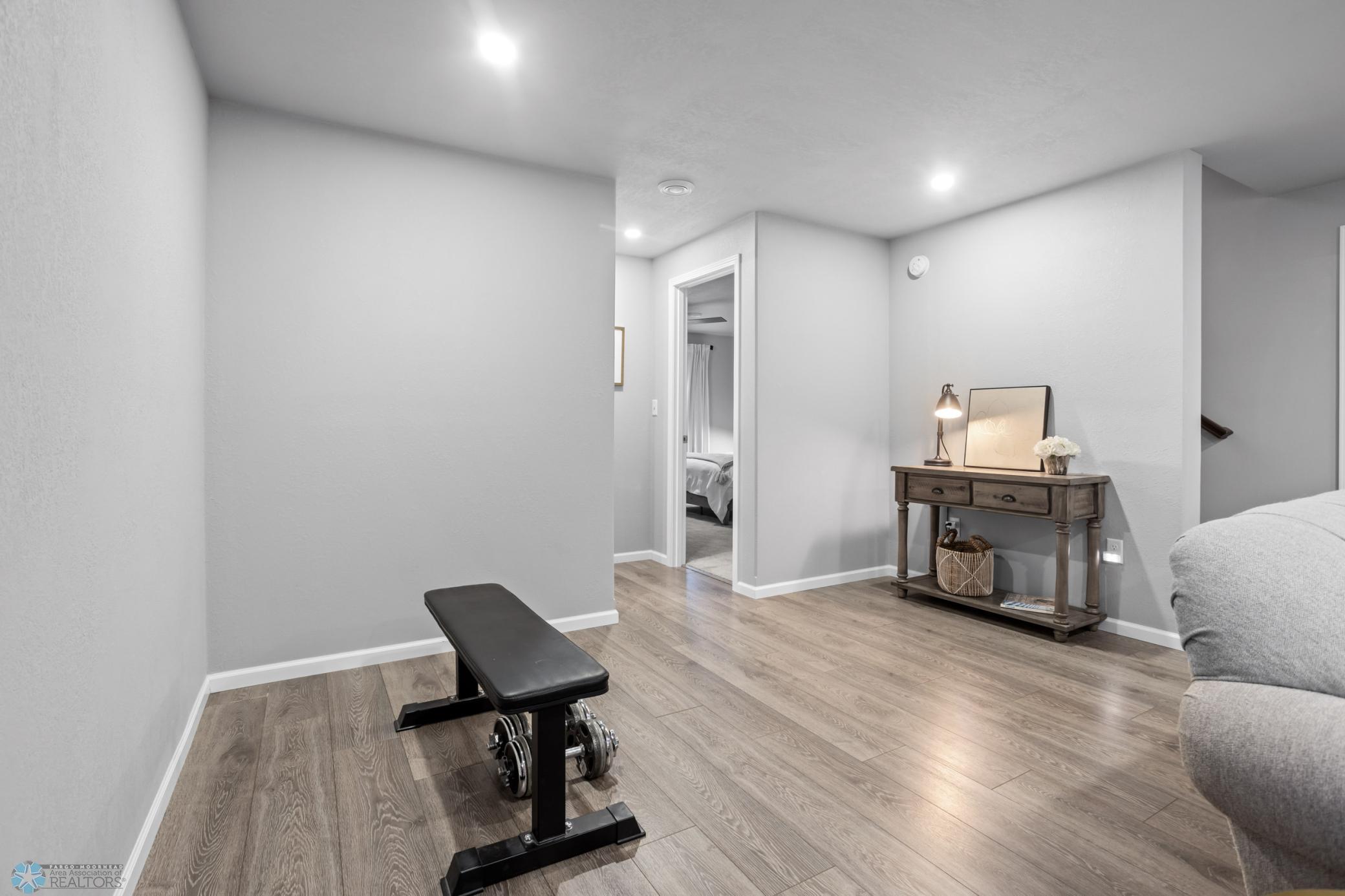 Basement Flex Area