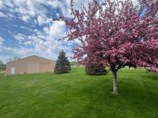 8105 165th Avenue NE, Oak Park, MN 56357