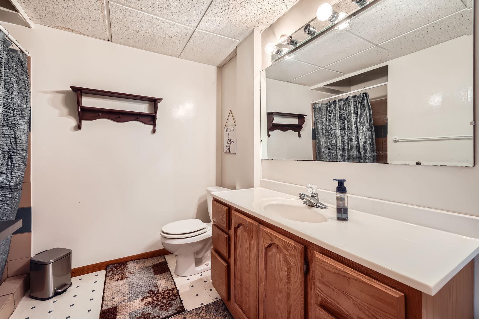 Lower Level Bathroom