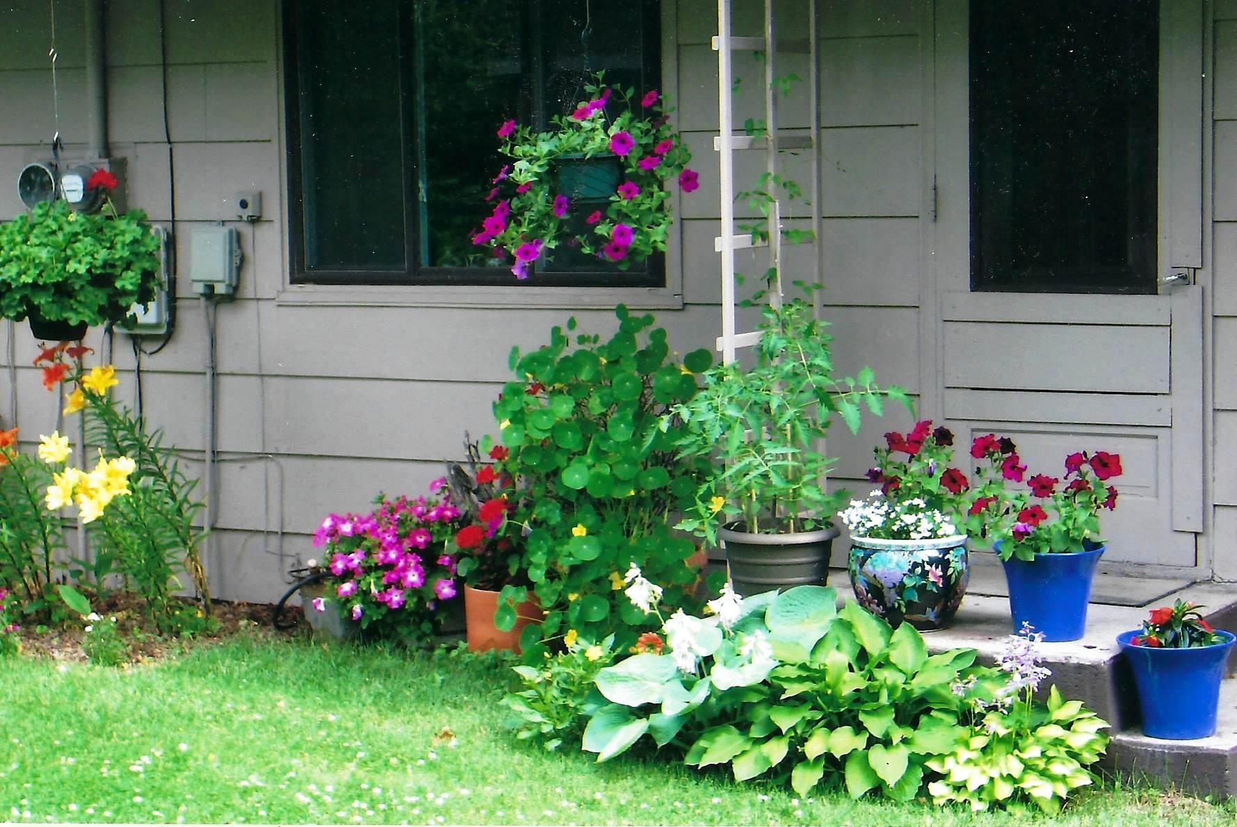 perennial garden by back door.jpg