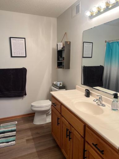 205 Maple Lane SE, Big Lake, MN 55309