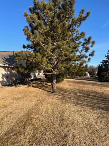 205 Maple Lane SE, Big Lake, MN 55309