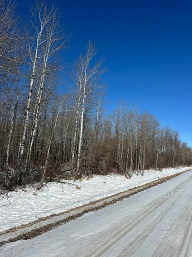 TBD 21st Avenue SW, Baudette, MN 56623