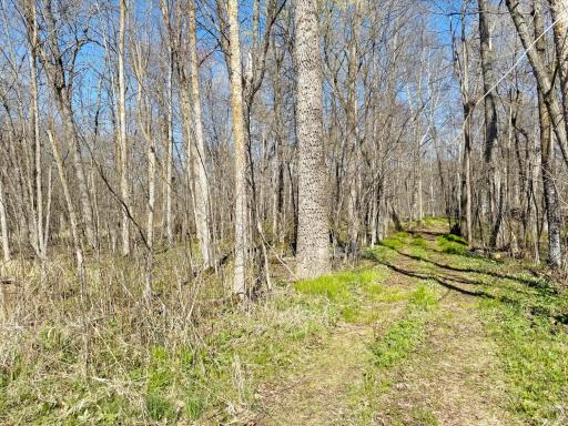 A shot of the substantial backlot from across the paved road that separates backlot from lake lot. Great place to add a pole shed!