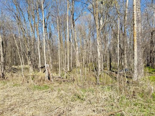 20455 326th Avenue, Isle, MN 56342