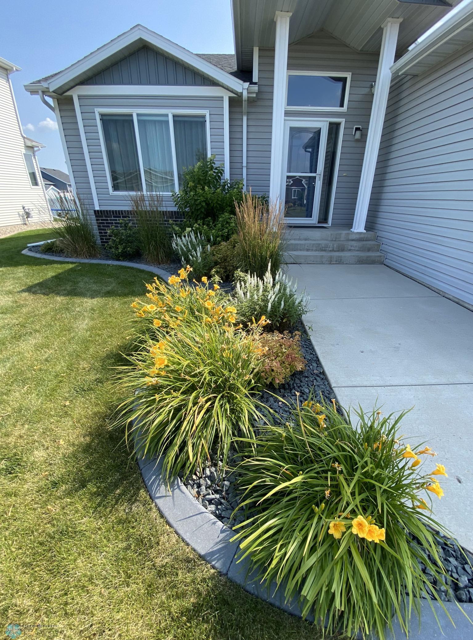 detail of daylilies in summer bloom.jpeg