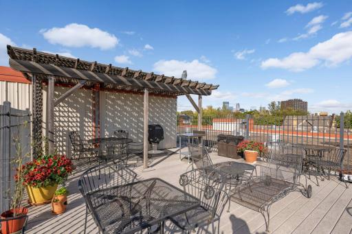 Private Kenwood Hills Condo rooftop with spectacular DT Minneapolis skyline views