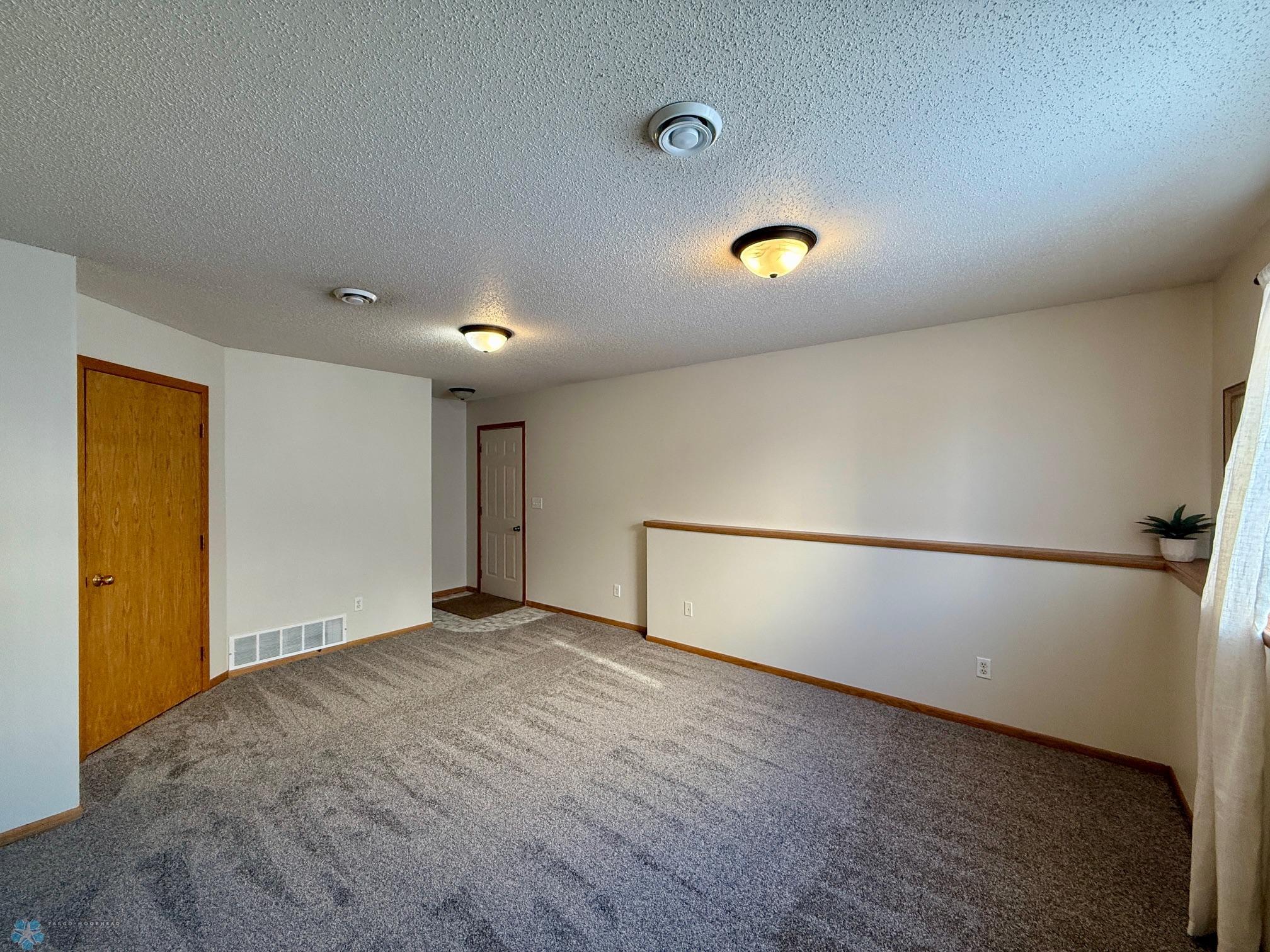 Family Room New Carpet