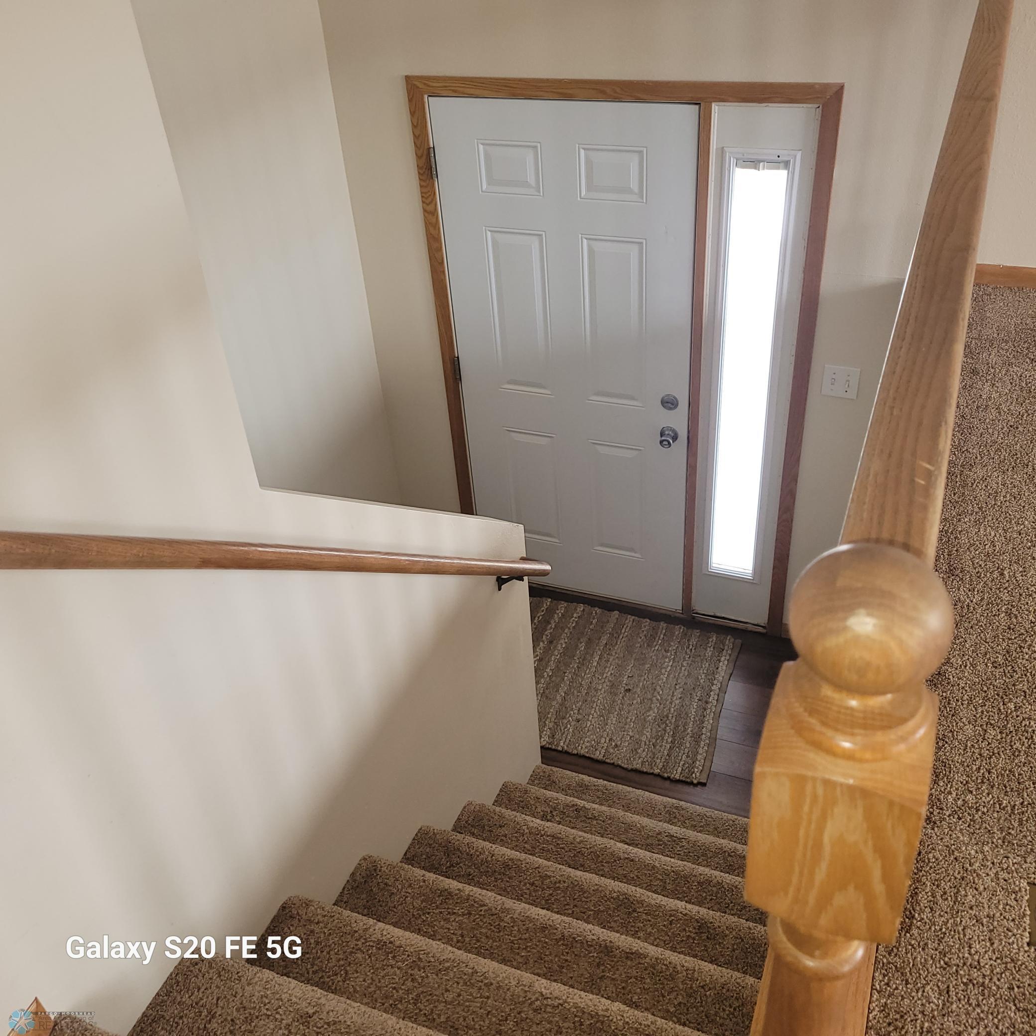 Split Entry Bottom Rung Has New Carpet