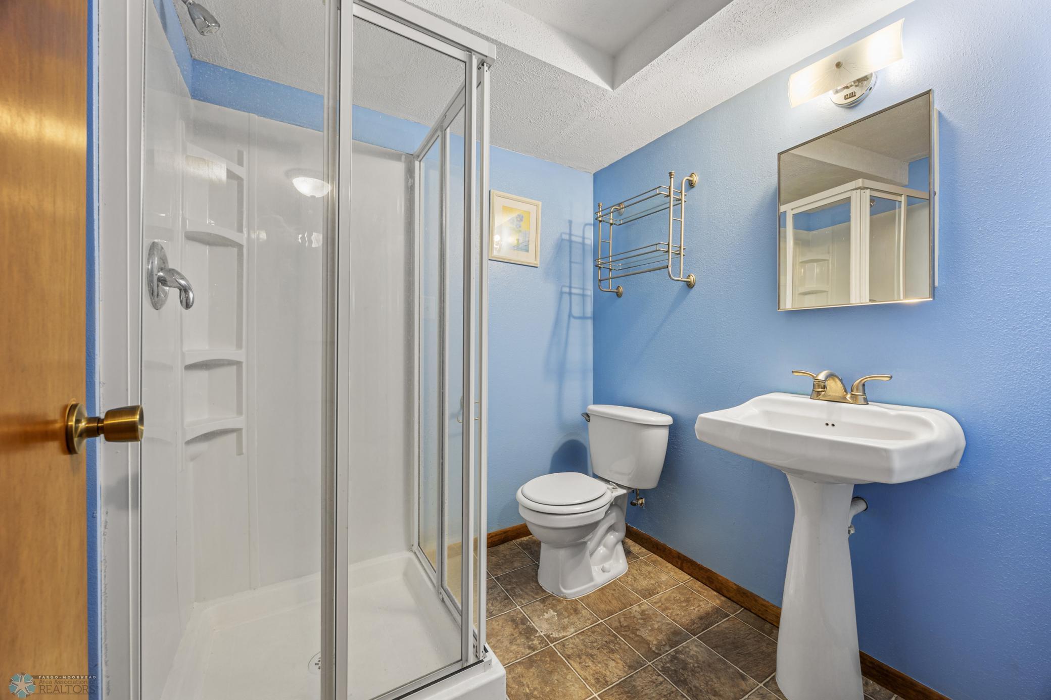 Lower level Bathroom