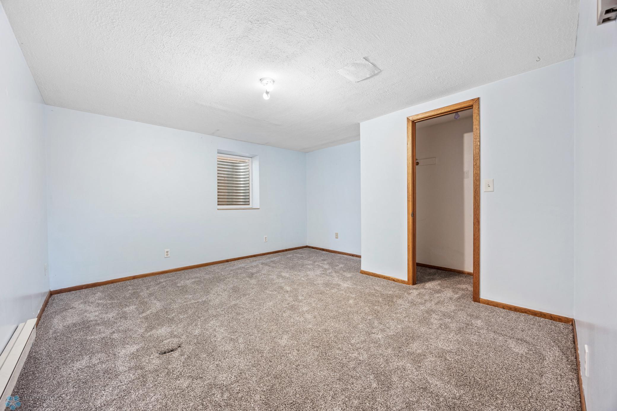 Large Lower Level Bedroom