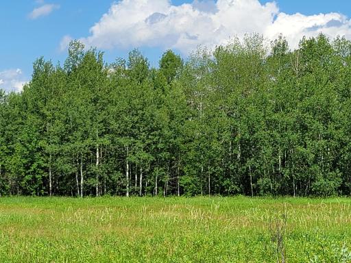 18925 NE Highway 23, Foreston, MN 56330