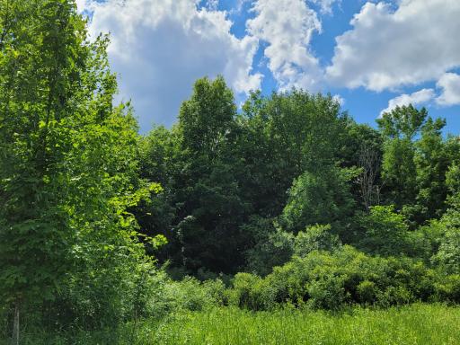 18925 NE Highway 23, Foreston, MN 56330