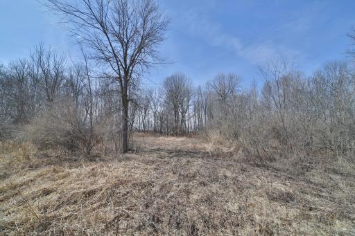 18925 NE Highway 23, Foreston, MN 56330