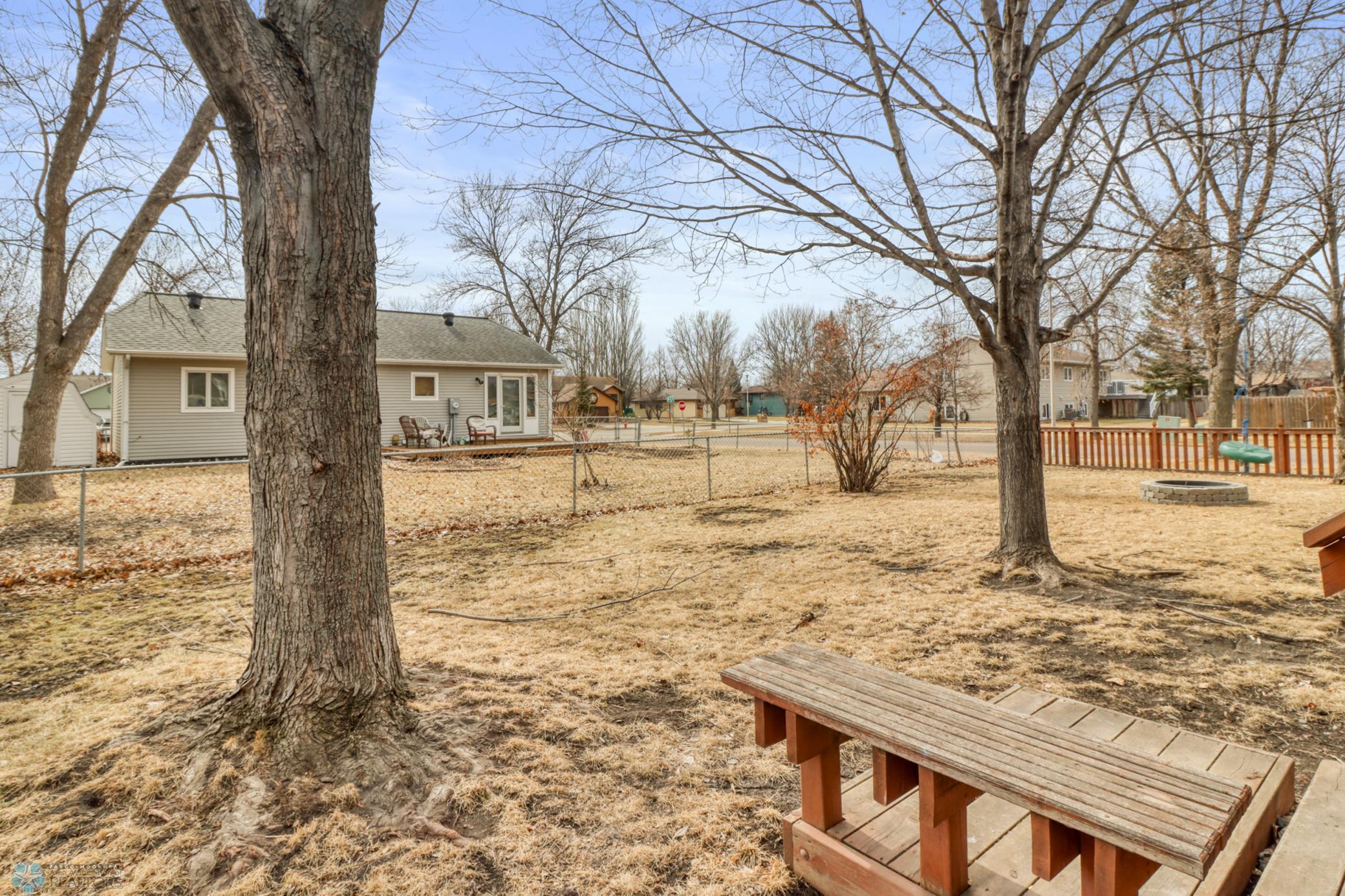 Backyard1_1.JPG