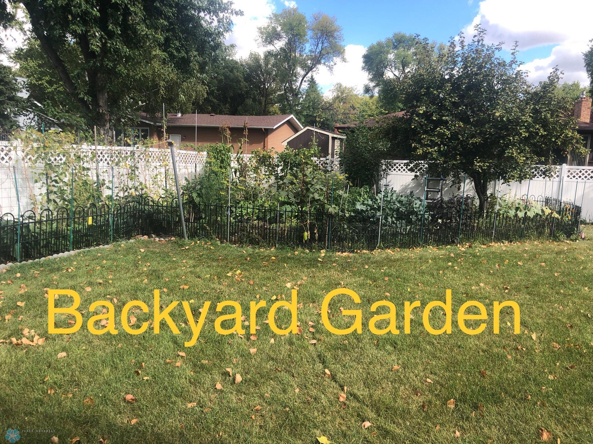 Summertime Backyard Garden.jpeg