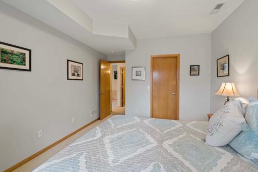 Lower level bedroom with walk-in closet.
