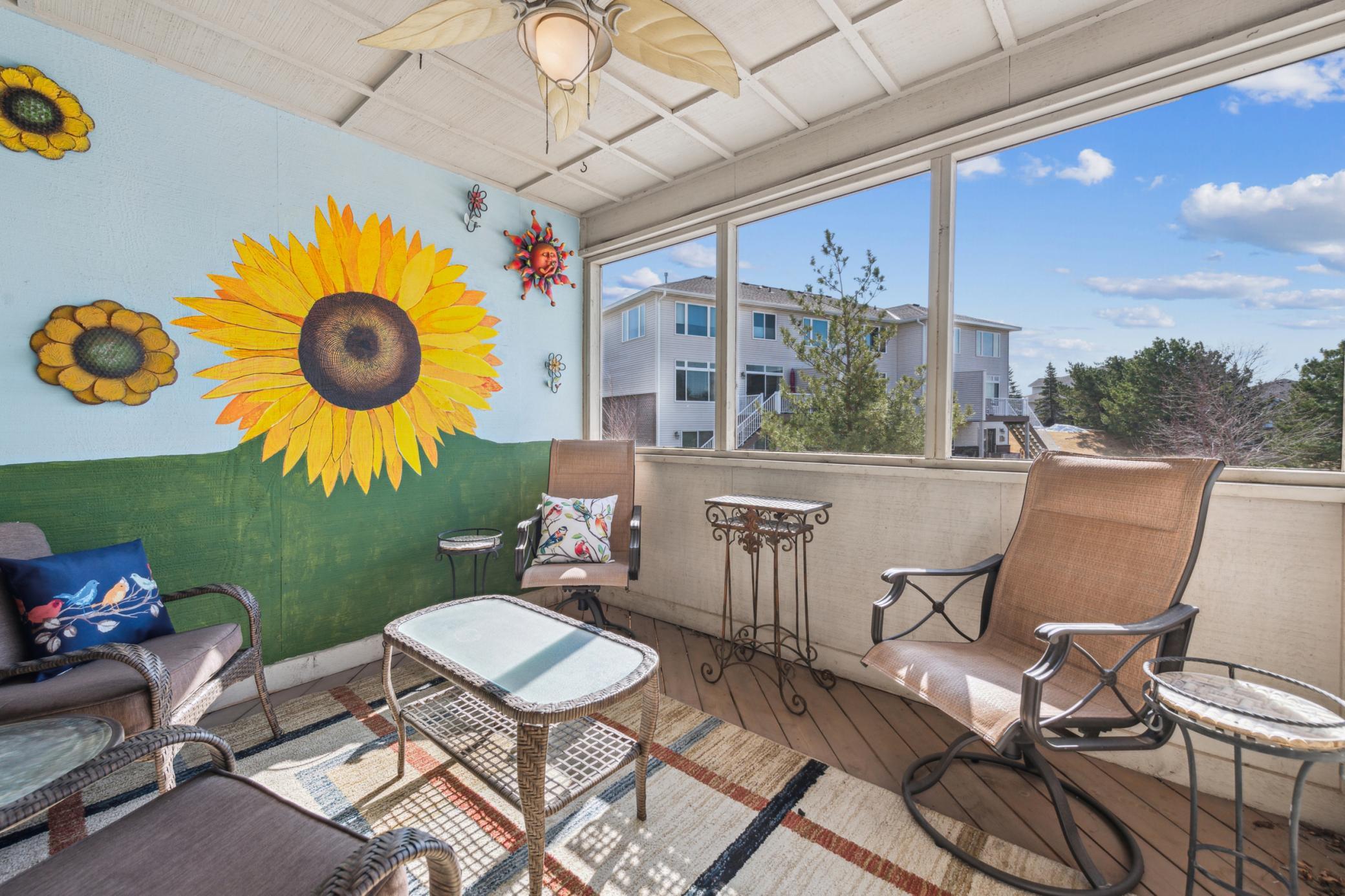 Let the sun shine in and keep the bugs out!