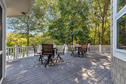 This expansive lakeside deck is perfect for gatherings or simply lounging in nature. Surrounded by beautiful trees and offering a peaceful view of the lake, it provides ample seating for dining, socializing, or just relaxing.