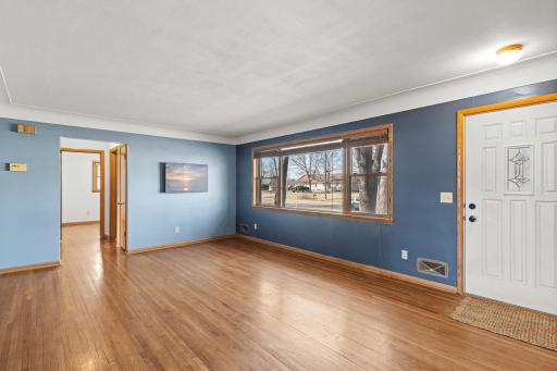 8941 Wildwood Avenue, Saint Bonifacius, MN 55375