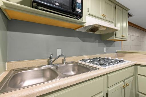 8941 Wildwood Avenue, Saint Bonifacius, MN 55375
