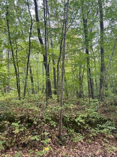 xxx Lost Lake Pass, Cushing, MN 56443