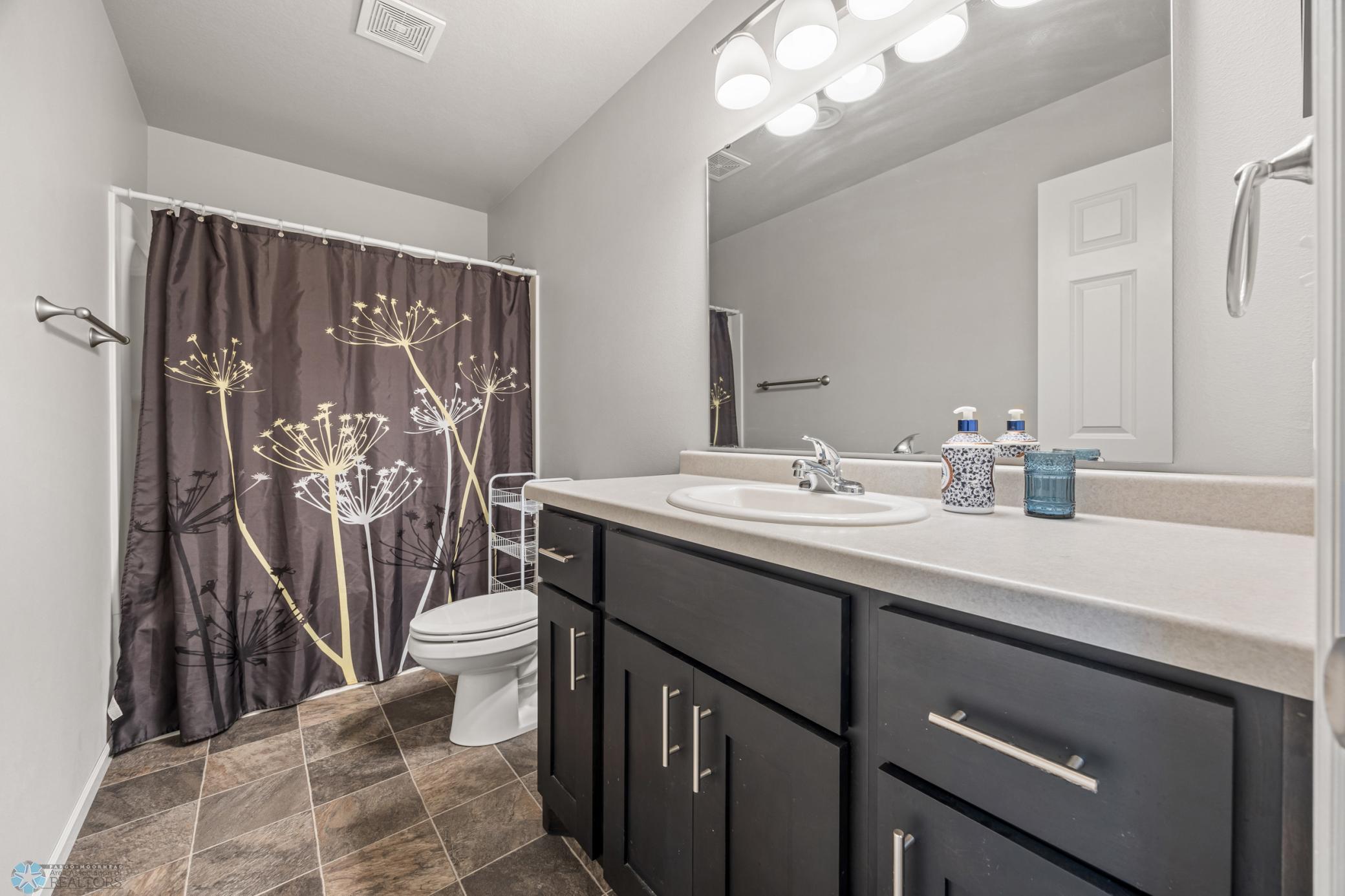 Lower Level Bathroom