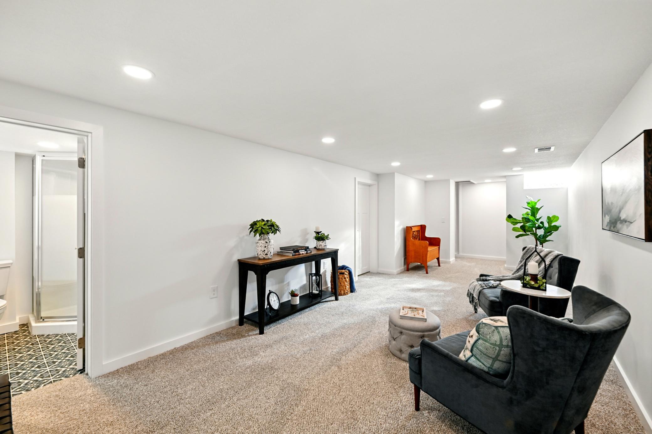 Lower level family room and 3/4 bathroom