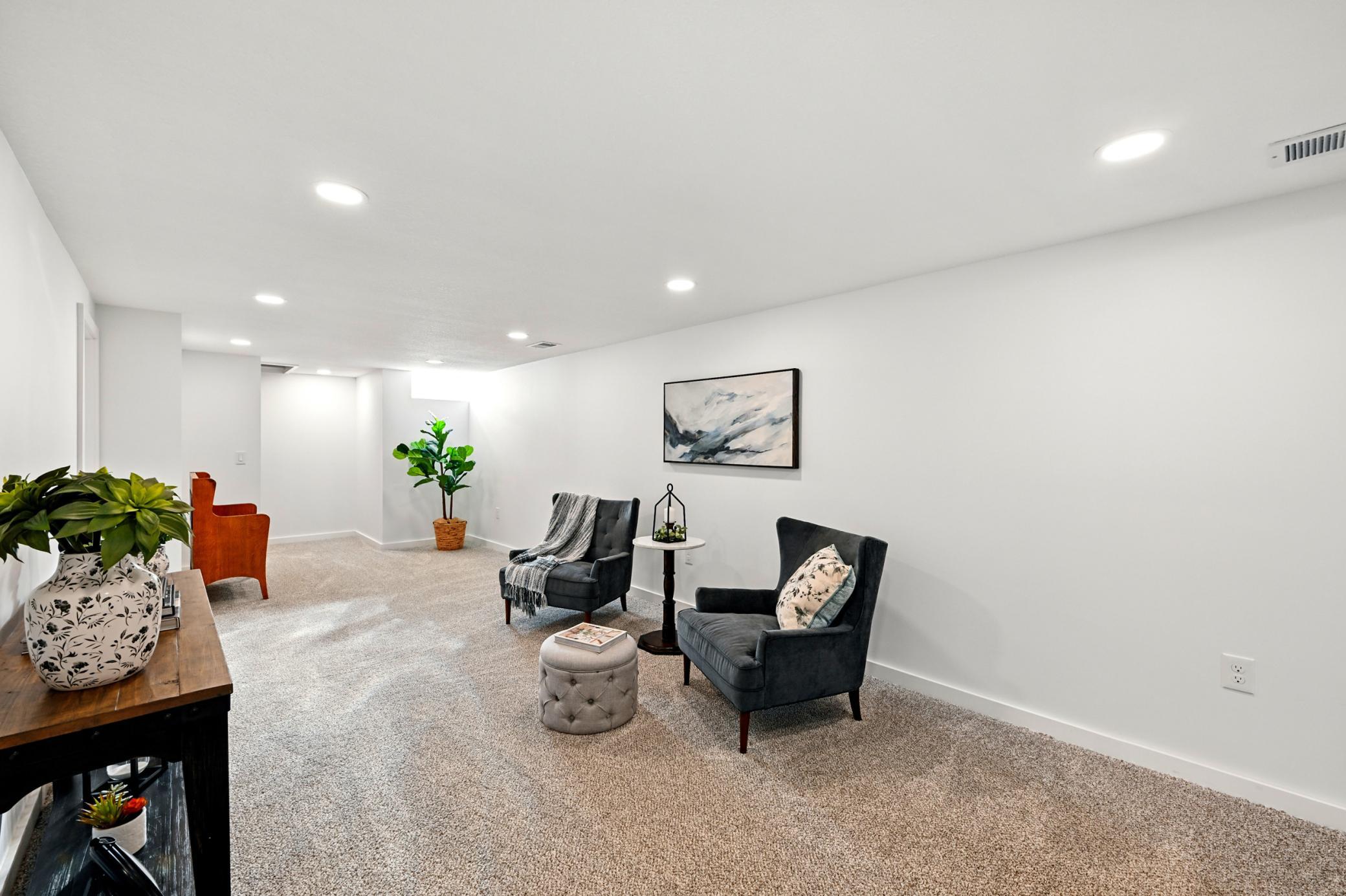 Spacious lower level family room