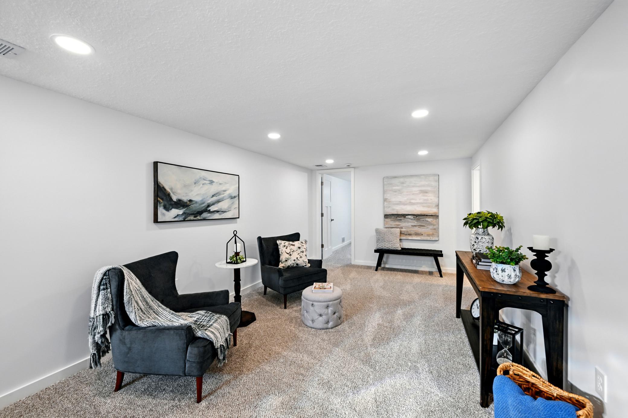 Spacious lower level family room perfect for entertaining friends and family