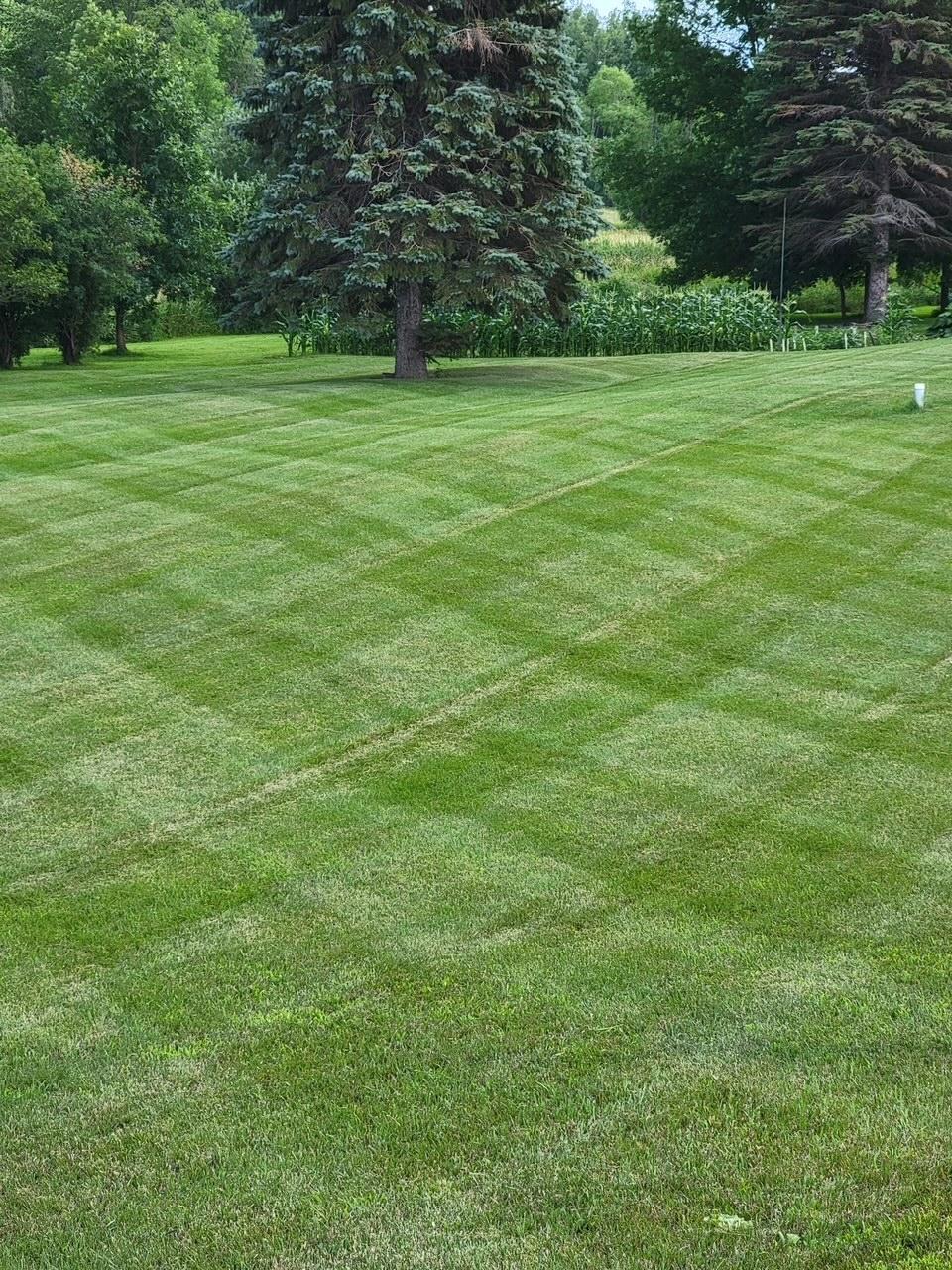 yard 2.JPG