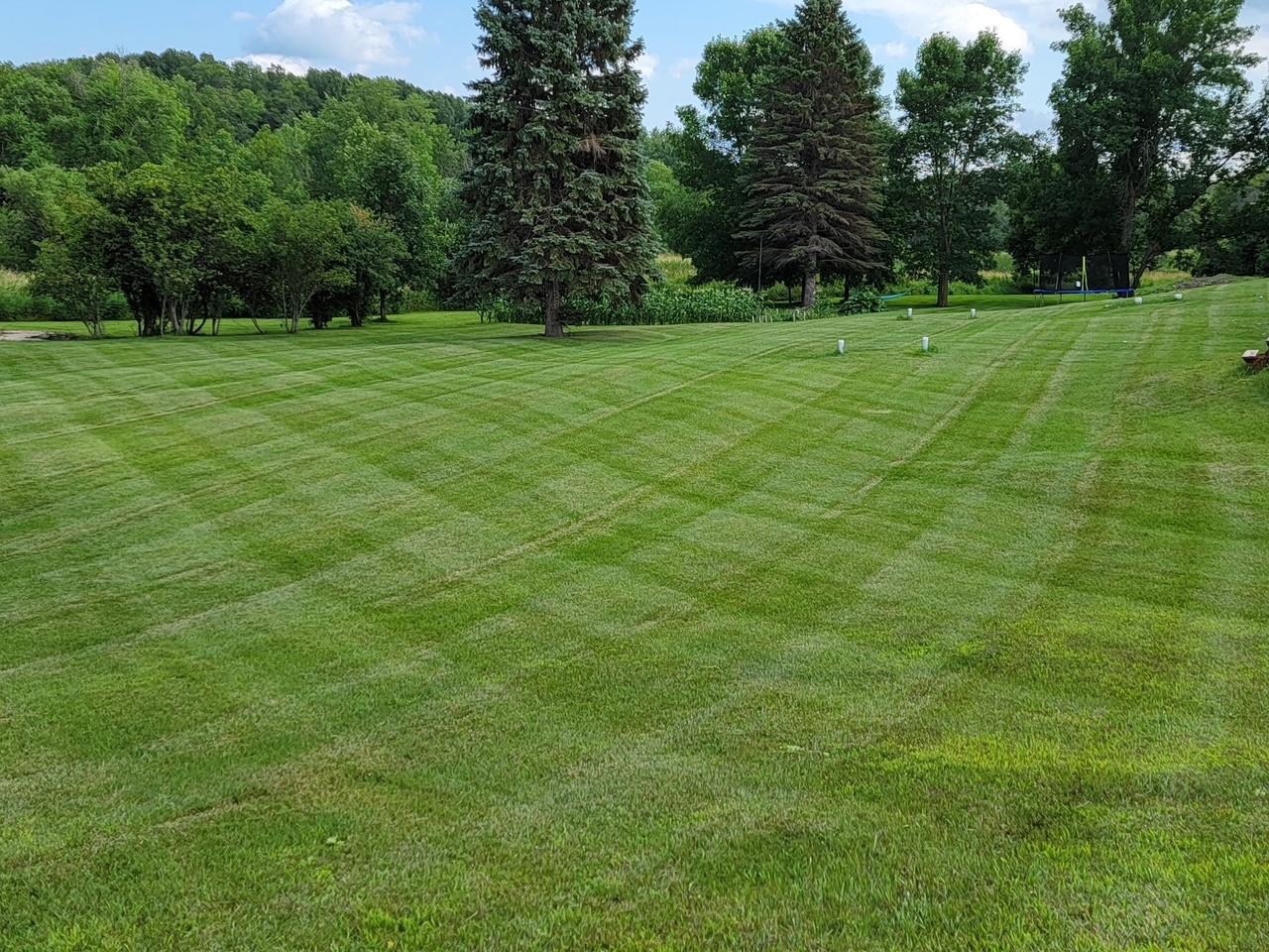yard 3.JPG