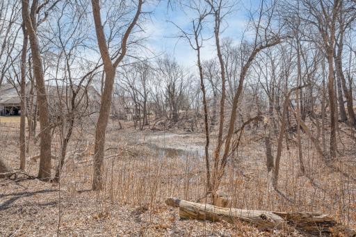 Take in the beauty of mature trees and a serene, natural backdrop.