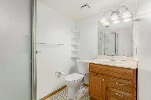 Convenient lower-level 3/4 bathroom with a step-in shower and modern lighting.