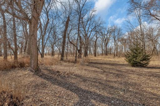 16920 15th Street SE, Blomkest, MN 56216