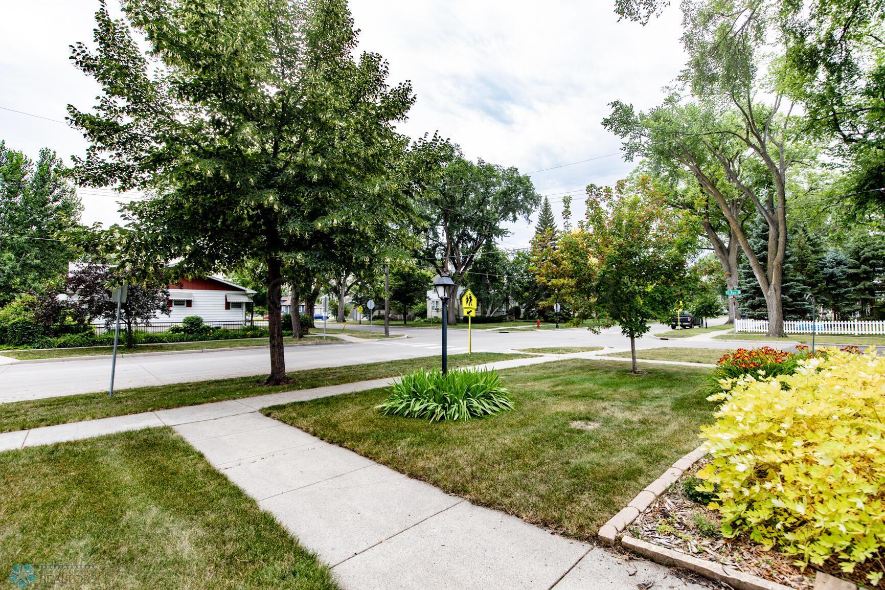 Front Yard (summer)